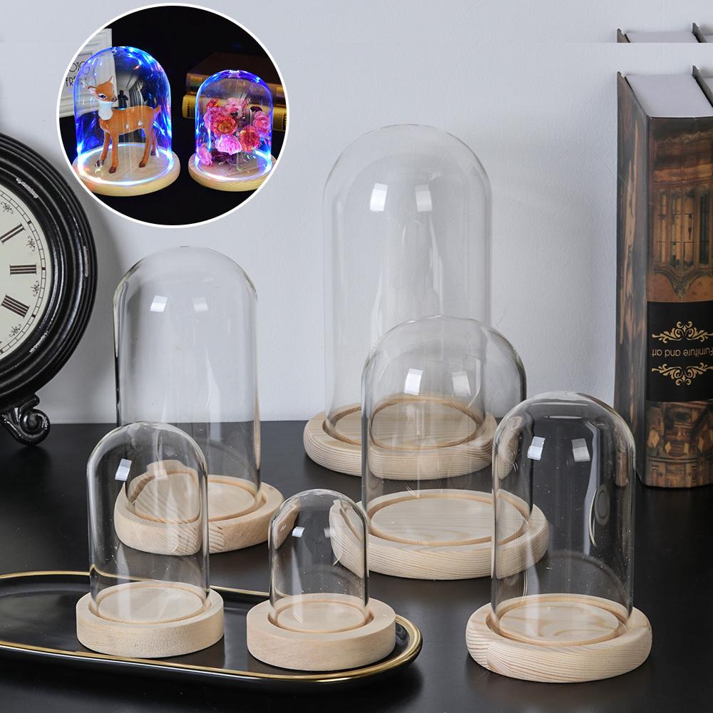 Home Decor Vase - Ev Dekor Bitkileri Kavanoz Teraryum Cam