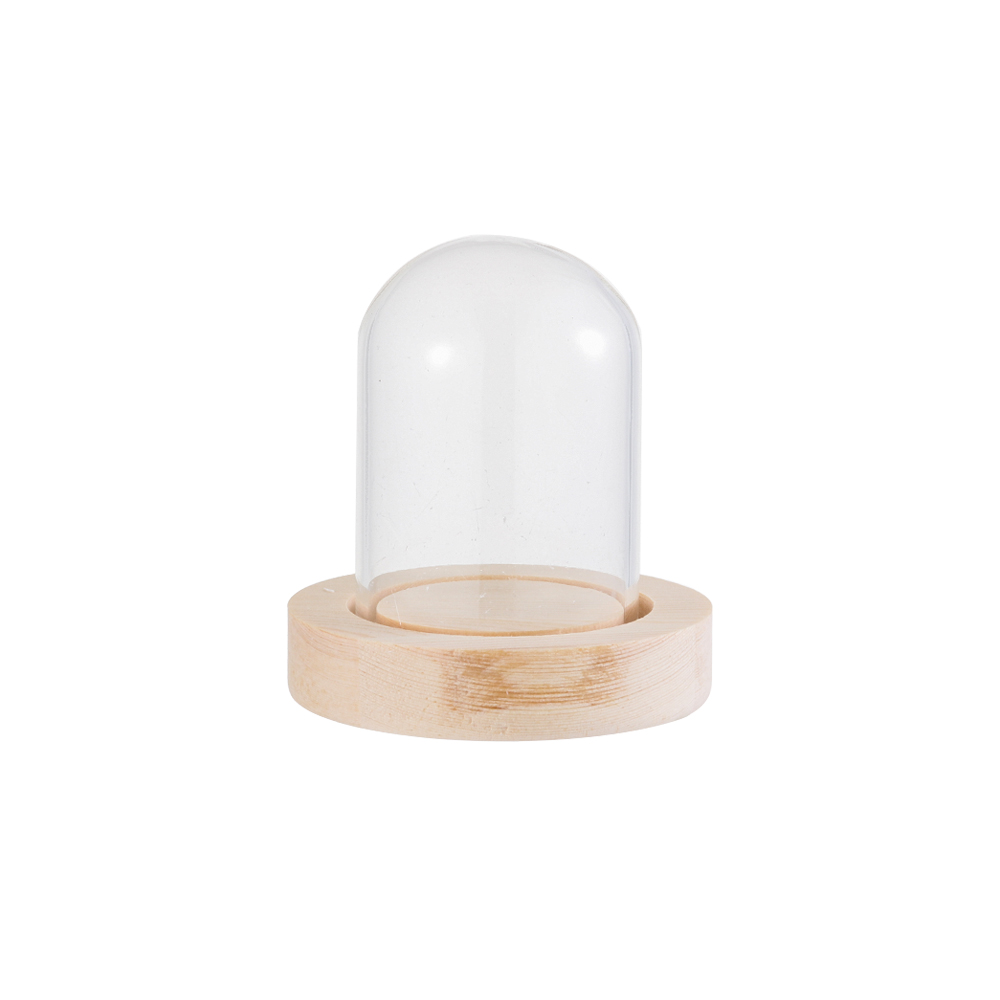 Home Decor Vase - Peri Işıkları Ev Dekorasyonu Teraryum Şeffaf