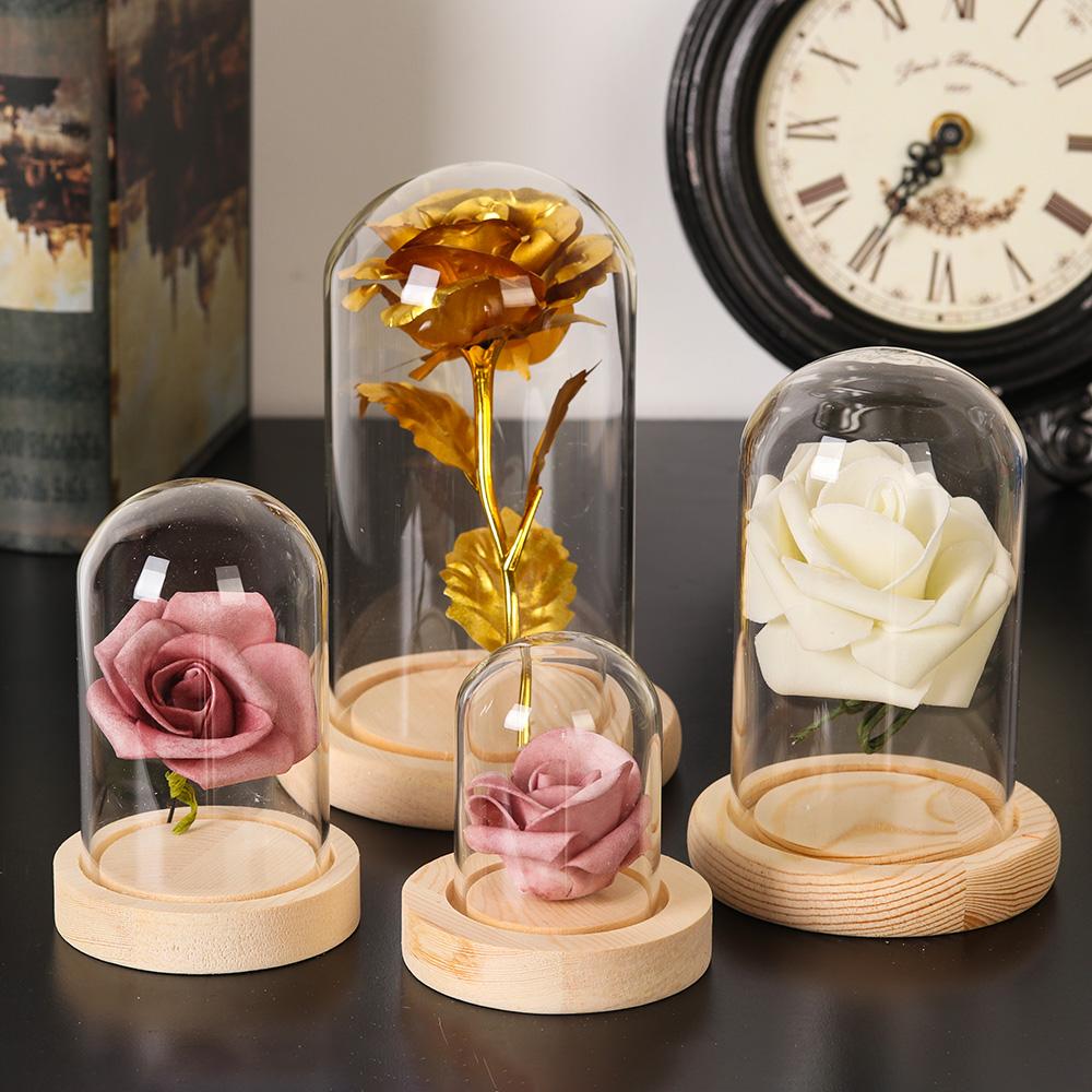 Ev Dekor Bitkileri Kavanoz Ter - Home Decor Vase incelemesi ve fiyatı