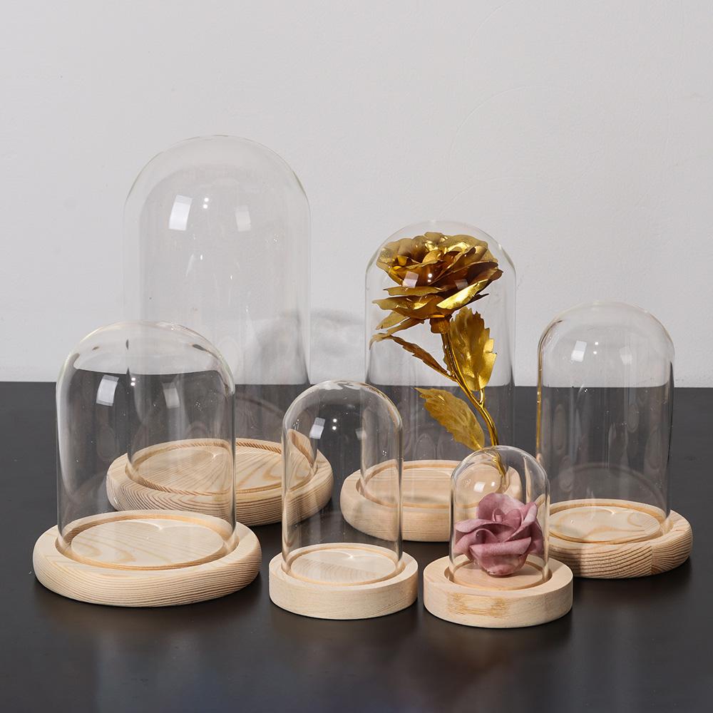 Ev Dekor Bitkileri Kavanoz Ter - Home Decor Vase incelemesi ve fiyatı
